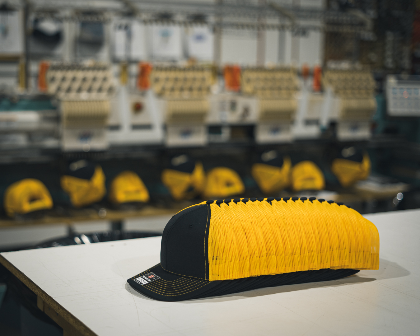Embroidery Machines need a digitized file to create a sew out.